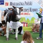 zdjęcie nr 18