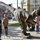 zdjęcie nr 11