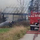 Fotka nr 3 z 12