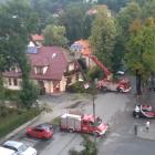 Fotka nr 4 z 5