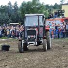 Fotka nr 4 z 12