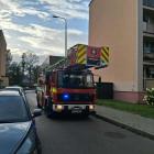 Fotka nr 1 z 7