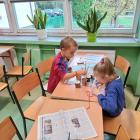 zdjęcie nr 12