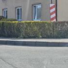 Fotka nr 4 z 7