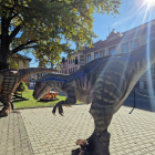 zdjęcie nr 80