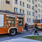 Fotka nr 1 z 4