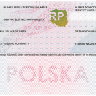 Fotka nr 0 z 2