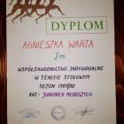 zdjęcie nr 102