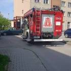 Fotka nr 5 z 6