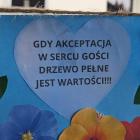 zdjęcie nr 36