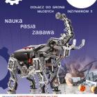 Fotka nr 1 z 3