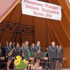 zdjęcie nr 8