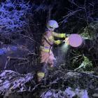  fot.: Małopolska Alarmowo 
