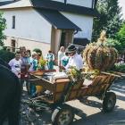 zdjęcie nr 7