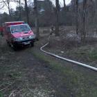 Fotka nr 2 z 8
