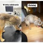 Fotka nr 1 z 3