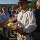 Fotka nr 1 z 17