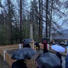 Fotka nr 2 z 11