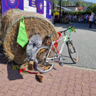 zdjęcie nr 87