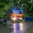 zdjęcie nr 15