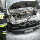 Fotka nr 2 z 4
