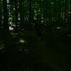 zdjęcie nr 94
