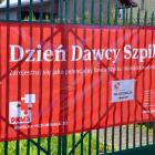 zdjęcie nr 11