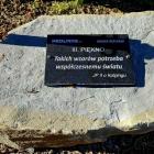 zdjęcie nr 7