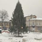 Fotka nr 0 z 12