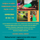 zdjęcie nr 11
