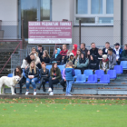 zdjęcie nr 44