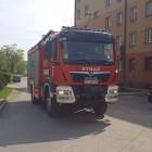 Fotka nr 2 z 6