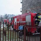 Fotka nr 1 z 4