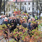 zdjęcie nr 37