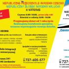 zdjęcie nr 8