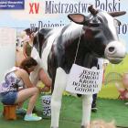 zdjęcie nr 27