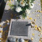 zdjęcie nr 7
