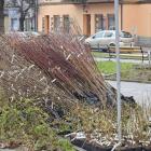 zdjęcie nr 7