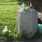 zdjęcie nr 8
