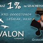 Fotka nr 3 z 5