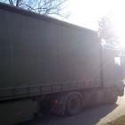 Fotka nr 2 z 4