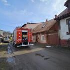 Fotka nr 2 z 4