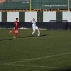 Fotka nr 5 z 13