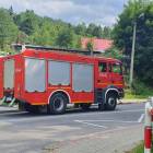Fotka nr 1 z 3