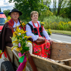 zdjęcie nr 95