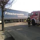 Fotka nr 2 z 3