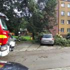 zdjęcie nr 19