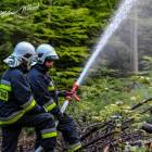 Fot. Mateusz Wilczek 