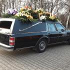 Fotka nr 5 z 7