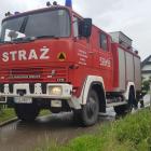 Fotka nr 5 z 9